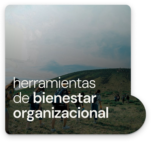 Bienestar organizacional - reverso